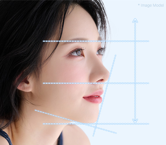 facial contour slide 01 pc