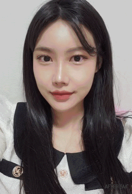 gif model 3types eng