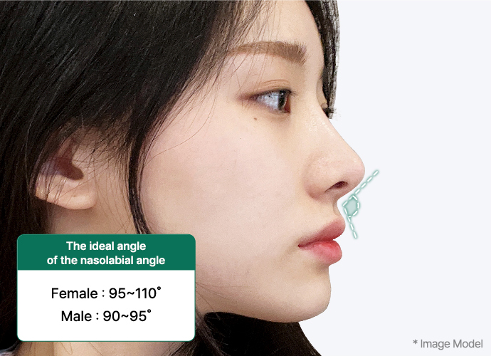 nose alar slide 01 pc