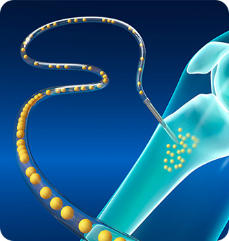 fat tab 01 img 01 mo